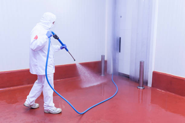 Best House Exterior Washing  in Archer City, TX